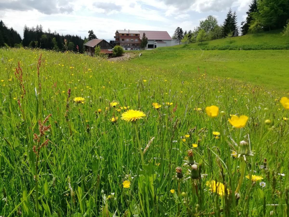 Stockreutehof Apartman Sulzberg Kültér fotó