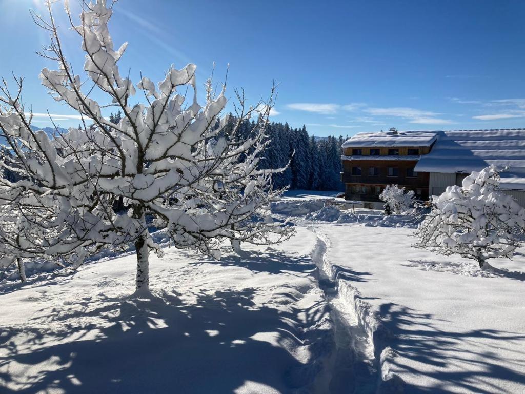 Stockreutehof Apartman Sulzberg Kültér fotó