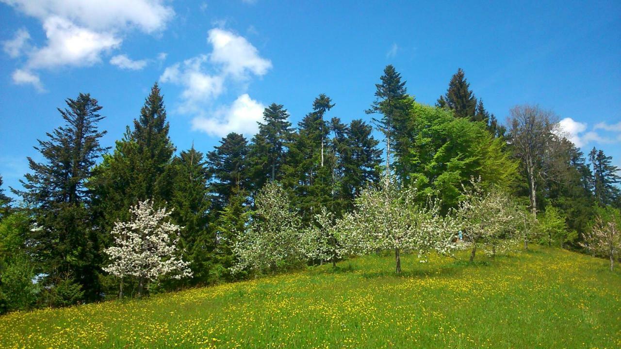 Stockreutehof Apartman Sulzberg Kültér fotó