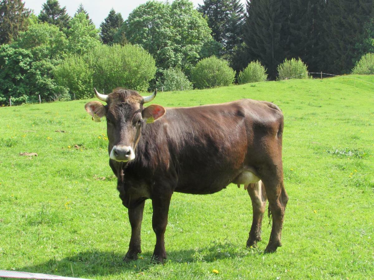Stockreutehof Apartman Sulzberg Kültér fotó